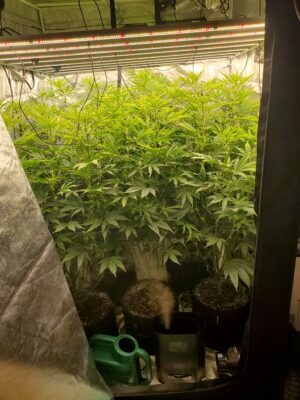 6f4b06d8-7ba4-444f-ab73-ba05579db575