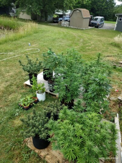 bd47635d-ddf8-4d73-b05e-e6438e226953