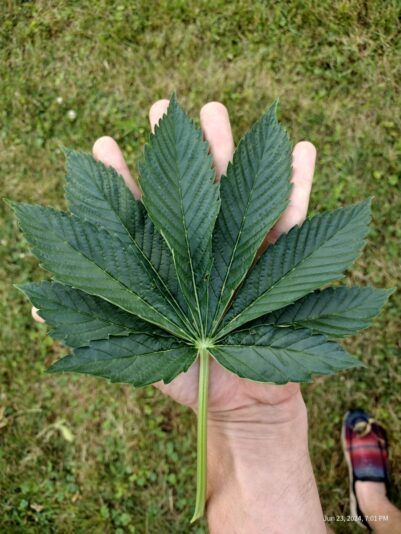 e5ea0cf8-6491-48b8-a76d-9a50e202a588