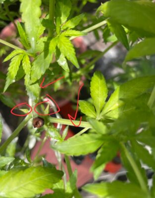 e1e32439-2c63-42af-87d7-cd38addbf0ce