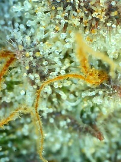 2024-07-16-11-49-44-207