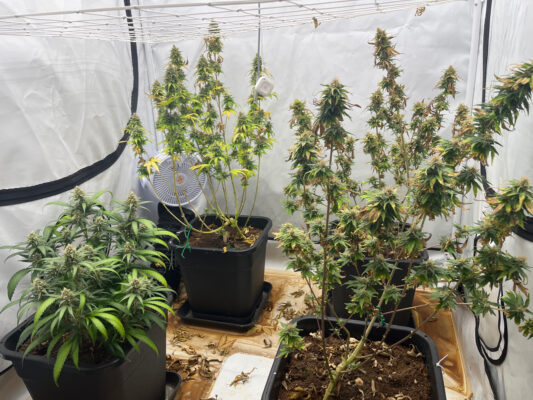 50F1C20E-B0DB-4A1B-BECA-F2557550B74E