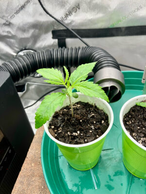 C322AEF2-17AD-4746-9E04-5675CA93E346