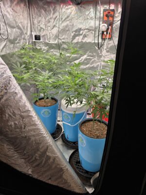 79d32ffb-783a-4c03-aff2-dcf7cd1b77ed