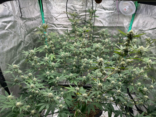 4B9B3074-1534-4453-83B4-92A126E2E42D