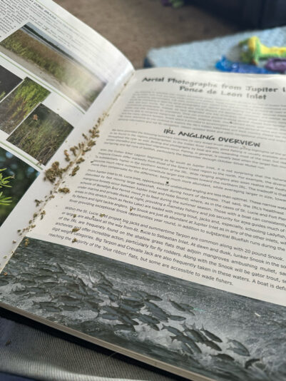 F5BCB9F1-BC8D-40F7-BBF9-05DD0CCBB40C