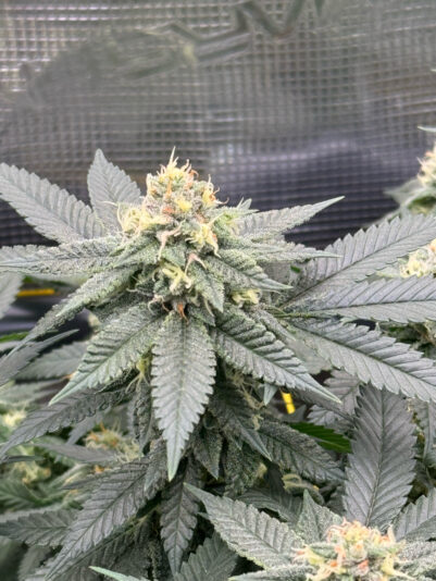 74919858-3FE0-46C3-9FC2-7CF70C788CF5