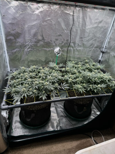 401AC5B7-A54E-43AC-A1F8-8FB8B845FF56