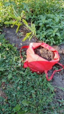 1ec6f552-a4be-4809-9cc5-1cdfc7c61cb3