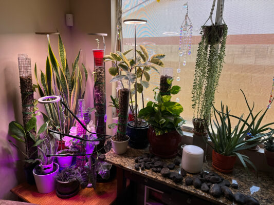 4ABDA205-FD66-4979-BDD4-0802AF1F18F5