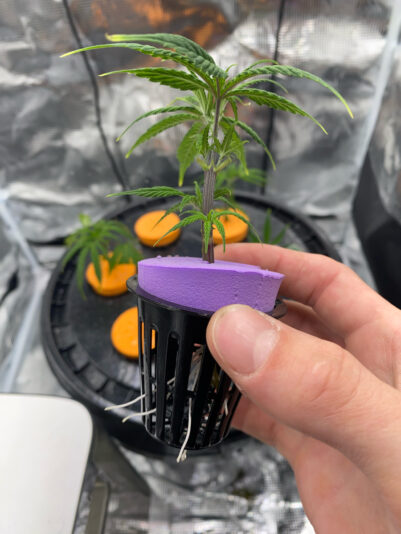 724E85F5-CAB7-4CA9-9FB8-36D58EBCFBD7