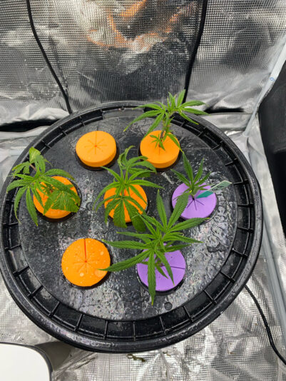 A6F3D89F-5894-435A-A404-F63FAD43692F