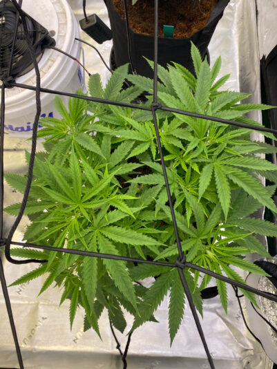 B1E60EE9-C5A8-43F3-ABE9-C9B26D911C75