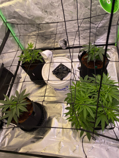 E478BCEE-449A-449D-83A5-0A38269837A2