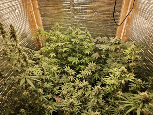 d6e0d1d7-6394-403b-810e-ff82198d24d5