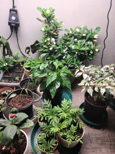 5a32c803-686a-4785-a446-f89dedf13c36