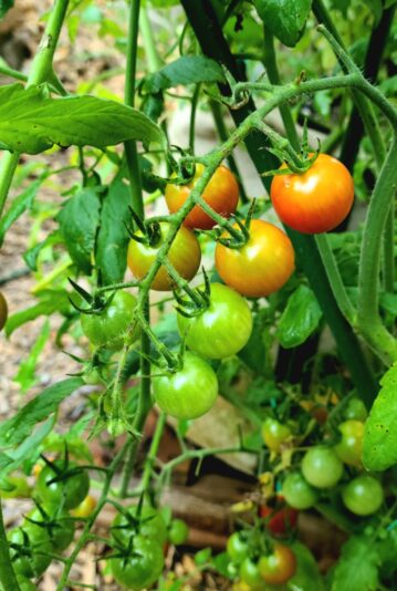 6d600f95-2cc6-4750-af76-09090755c2eb