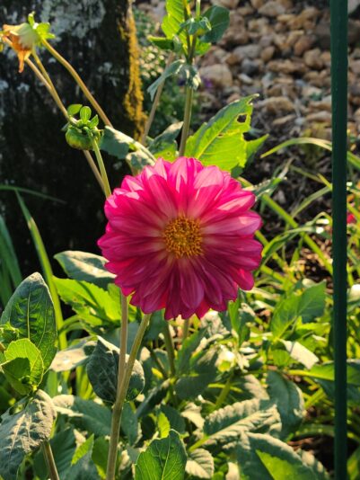 a199300d-7a84-4758-a8fa-1ac47ec1e5d2