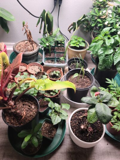 b4638b58-1790-4e71-a3f4-9fcbd195211c