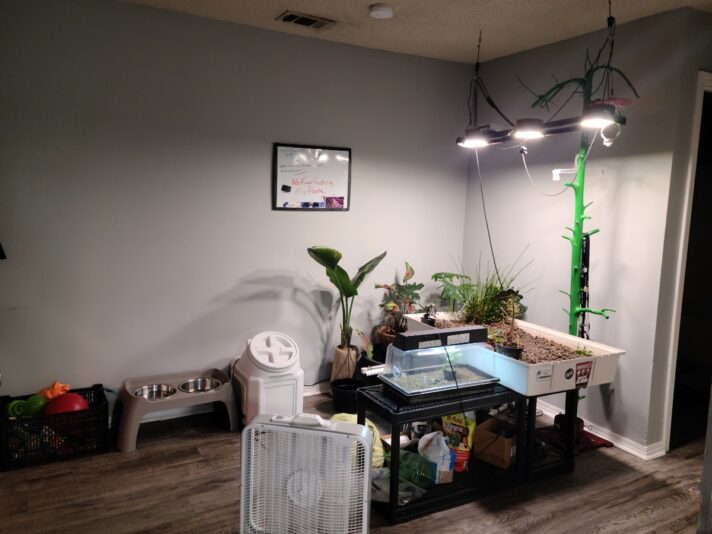 b4ad0d14-4be0-4cae-8f3f-ce5437e98163