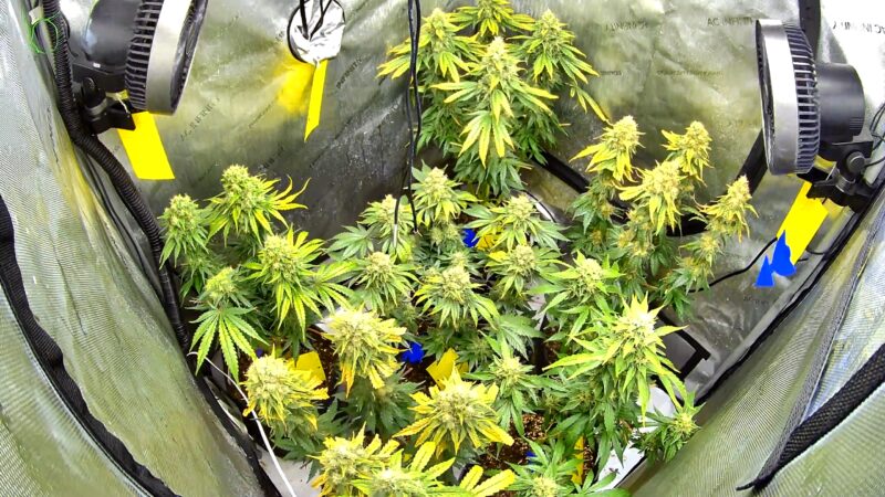 80482C2924D6_1718215050914