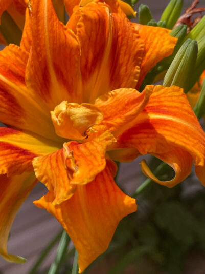 149EC6D3-5051-4606-AAF1-94065C2C367E