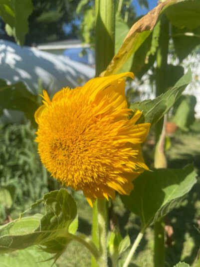 448CAFA4-FFCB-4490-822D-6C4254498ADC