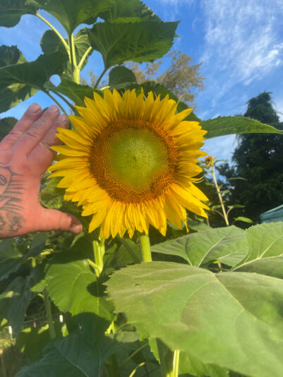 B58FB378-CA7F-4585-B64A-86E41F169180