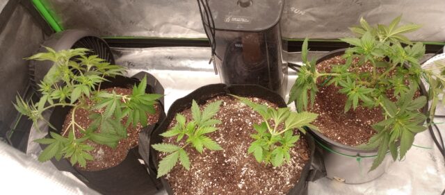 0f9f7848-dd6a-425f-aa92-694410390ac1