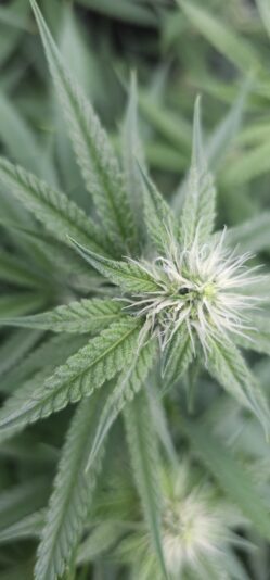 34544c4b-958c-475c-bea5-a4d21699857e