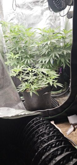 af4e4d1d-192e-49c2-94ae-c3ed23312db8