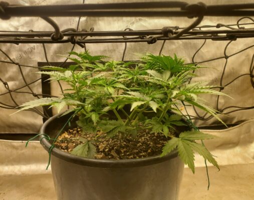 60dff65e-1bec-4287-b714-c762dd0de82c