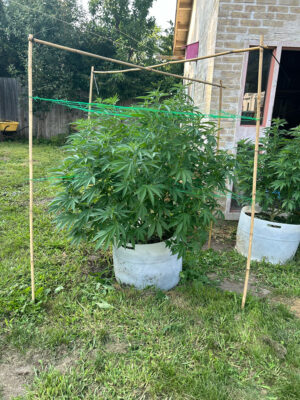 7C7BCF15-DB64-4CB4-ACF8-9CF76D6F2113