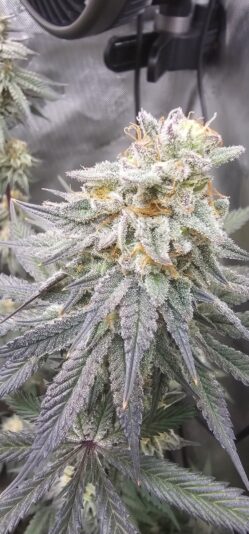 30d33e1a-238a-4adb-8e83-e464b9af5193