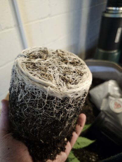 9569a878-1a03-4213-854d-0631dcfdd189