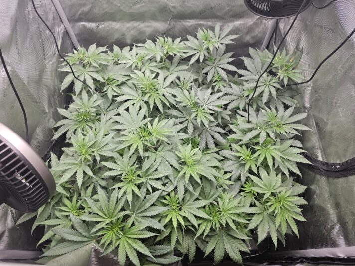 873190c2-1ebd-412c-9cf3-34e32eda157e