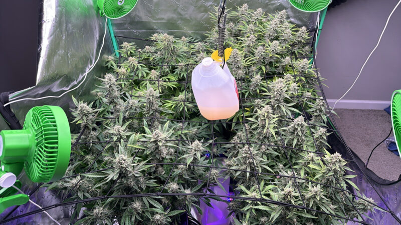 92D1266C-4935-49B2-97DE-ACC14F09A9C8