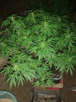 e73a6bbd-5c5d-4c16-887f-72b73cfe6f66