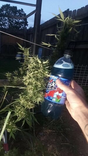 bcc35439-fcf2-4c92-b770-b9c8cf1aeac3