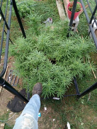 ef5ad11e-5863-4695-bbf3-c8691d8e3908