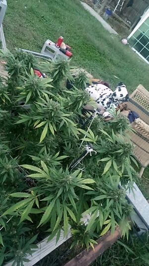 f15e903e-cfb4-4685-a4b5-d60fc975bdcd