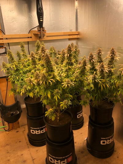 136ABC98-8FD9-4FD9-B373-9F11358ED213