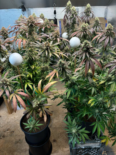 D664C97C-F56E-421C-8BC1-D4FB34DB3202