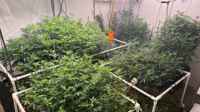 051B4696-3D58-408F-AC0B-C8491F0FDC2E