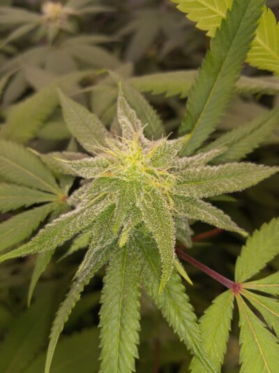 1dfc3359-b1d4-4d55-ac5d-352d486122ae