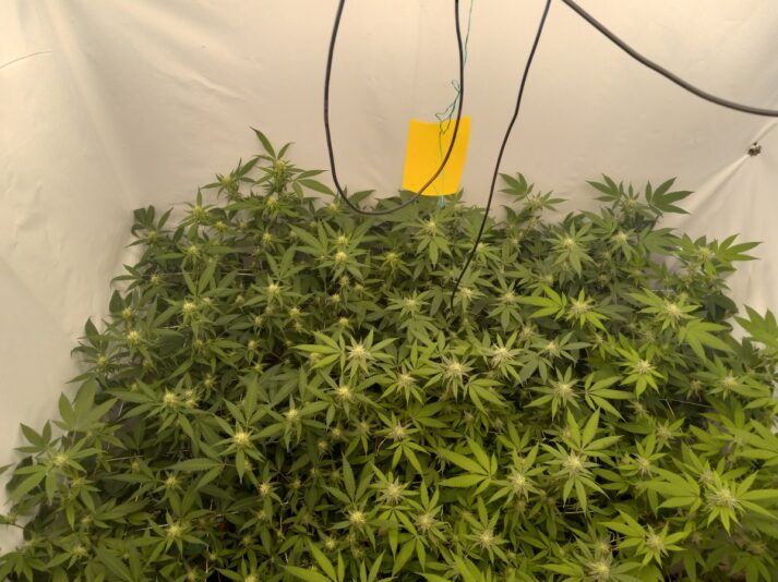 6bca8ef1-d7ed-4570-9322-6d171d8c0ecd