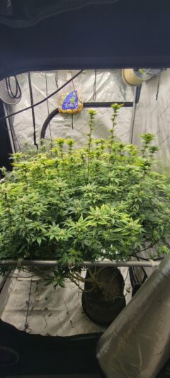 1f4bd2a7-1f2e-424b-a199-6ae3b06622f2