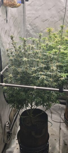 9890bd14-f030-4581-be6b-07e0f205b35d