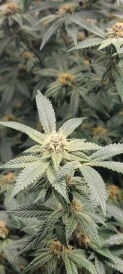 41b60e2f-d63a-4b5d-8fb2-d4a8d949bcd0