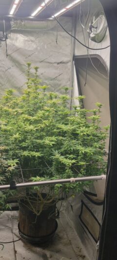 79ad051e-dd9f-4a9b-9100-0595602a697e